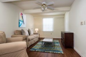 Williamsburg Village