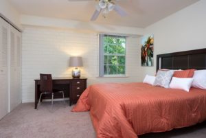 Williamsburg Village