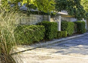 Arbor East Apartments