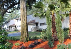 In The Pines Apartments