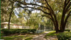 Brookwood Terrace Apartments