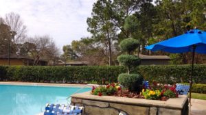 Fox Hollow Apartments