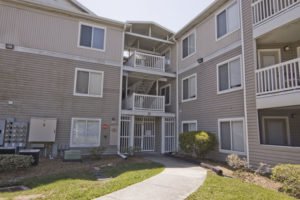 Countryside at the University