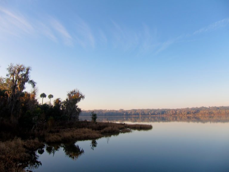 Gainesville’s Lakes, Creeks, and Rivers