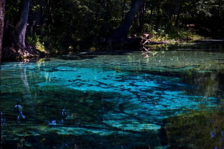 Top 5 Springs Near Gainesville